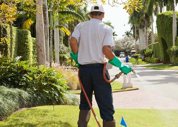 About Williamsburg VA Pest Control